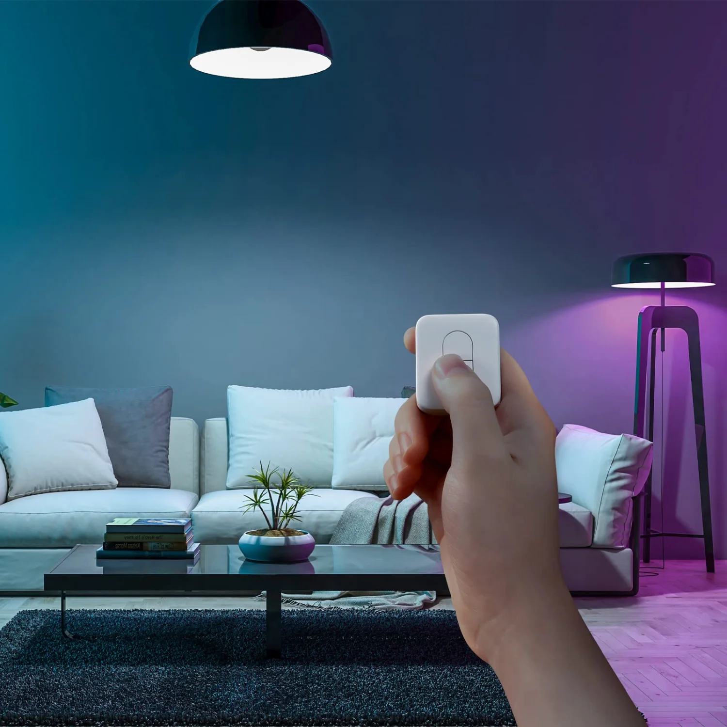 SwitchBot Remote Control for Smart Curtain and Home Automation 2