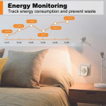 SURFOU Smart WiFi Plug, Italian Type L Socket with Energy Monitoring & Timer, 16A