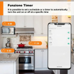 SURFOU Smart WiFi Plug, Italian Type L Socket with Energy Monitoring & Timer, 16A