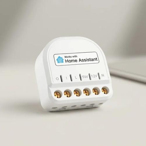 Refoss 10A Mini Smart WiFi Relay Switch - Home Assistant Compatible 1-Gang Module