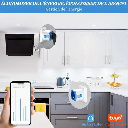 SURFOU Type E Smart WiFi Plug, 16A Programmable Socket with Remote Control & Energy Monitoring