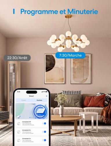 Meross Smart WiFi Plug (FR Type E) - 16A with Energy Monitoring, 2-Pack